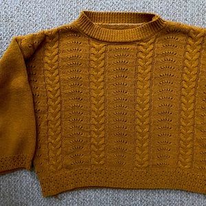 Burnt Orange Crop Sweater with Bell Sleeves